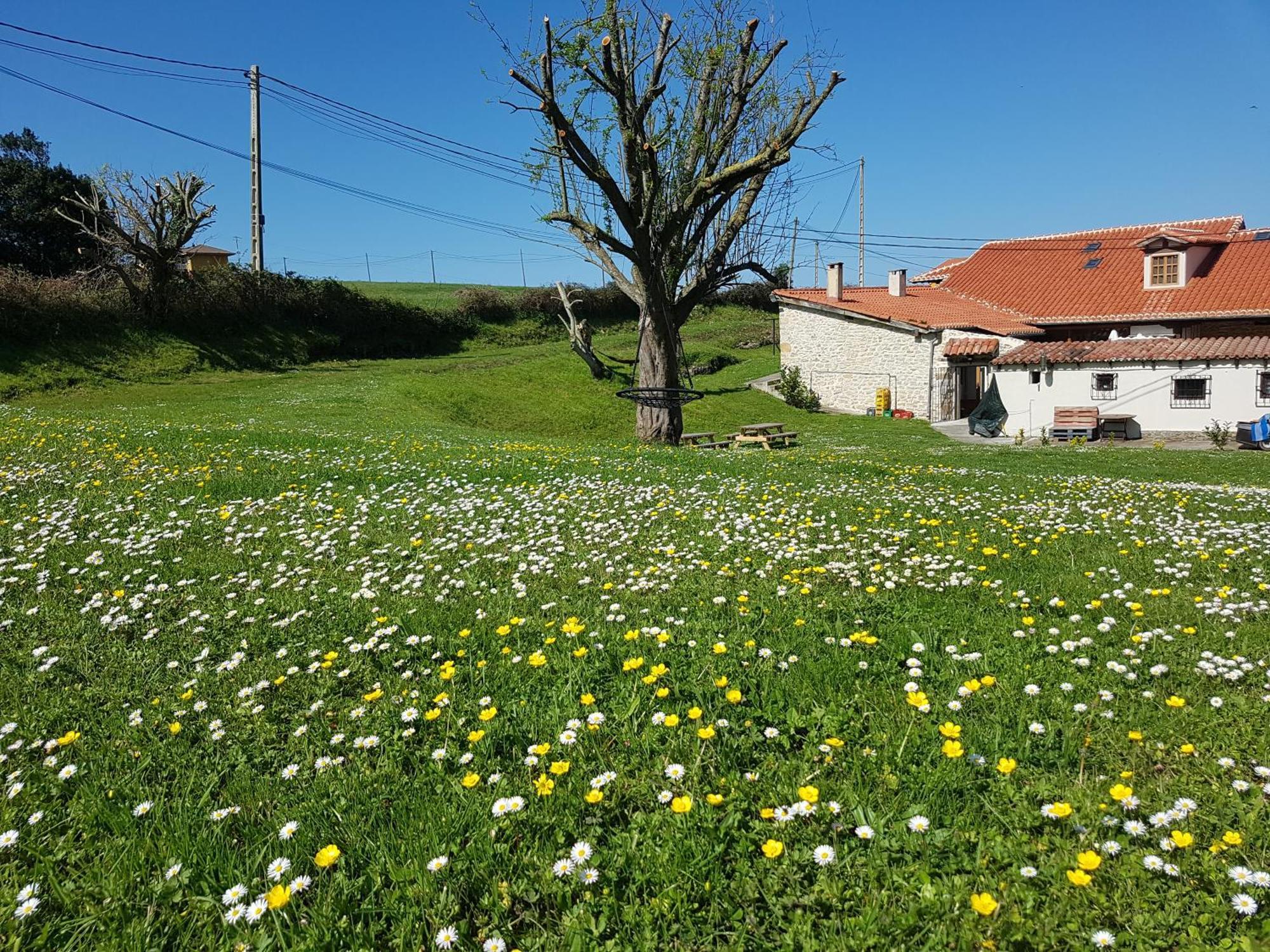 Posada Condado De La Mota Mogro Exteriér fotografie